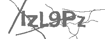 Güvenlik Kodu
